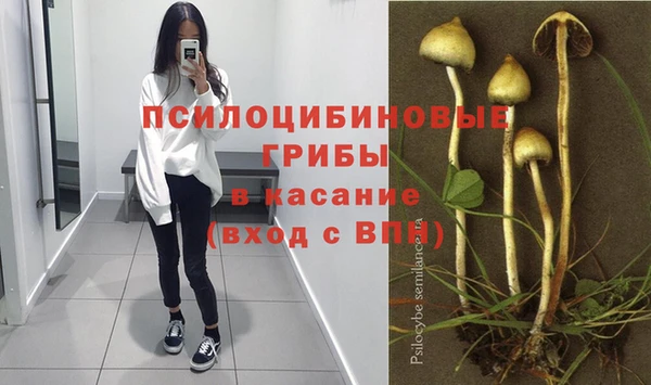 PSILOCYBIN Покачи