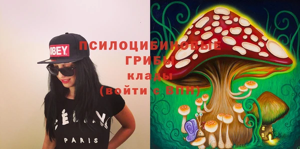 PSILOCYBIN Покачи