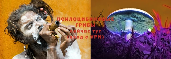 скорость Баксан